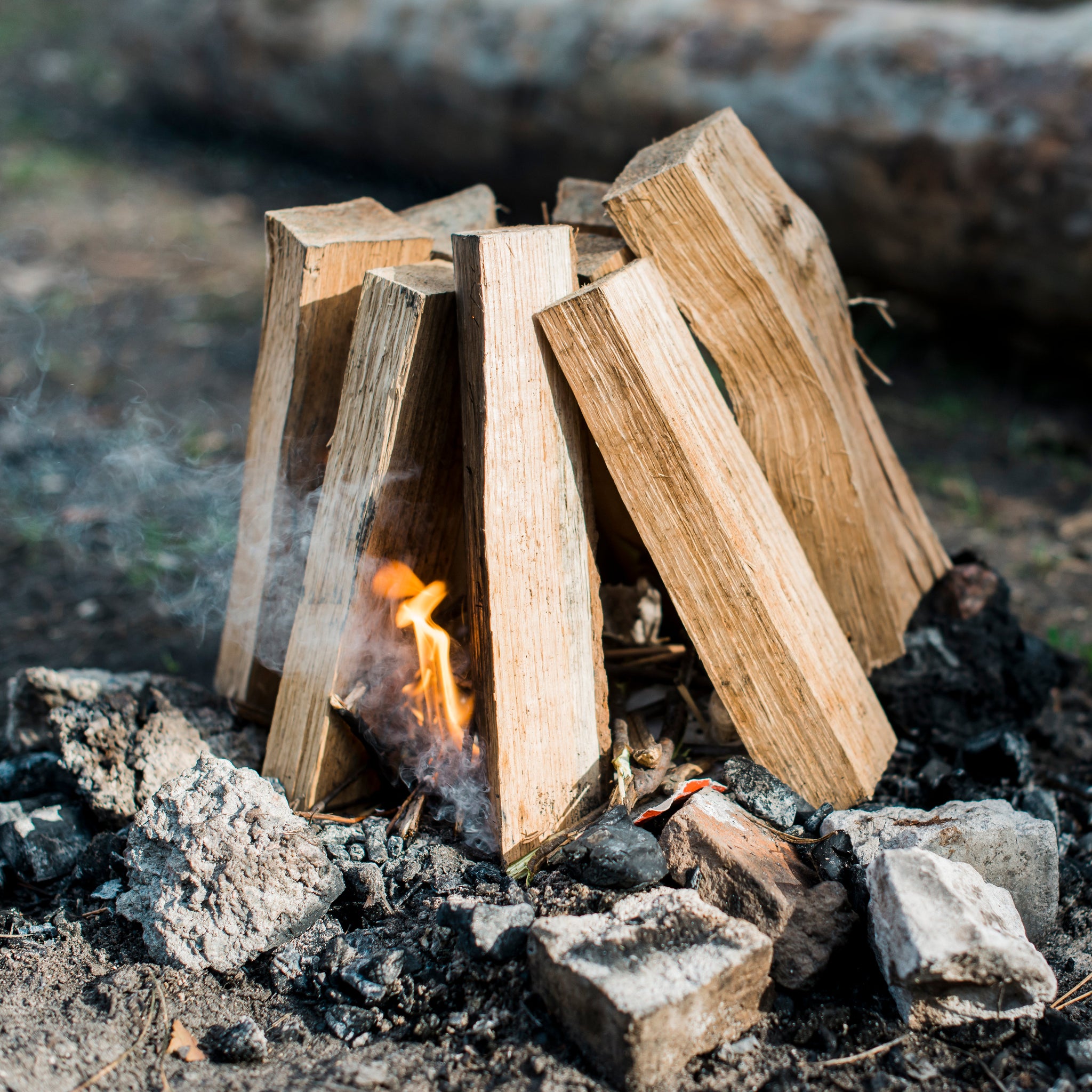 Die 5 größten Vorteile von kammergetrocknetem Brennholz
